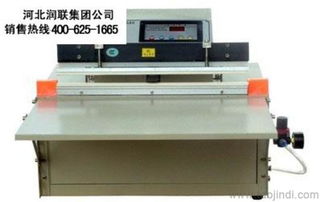 浙江紹興豆腐真空包裝機 雙室食品真空包裝機選購指南 - 廠家、價格與圖片解析